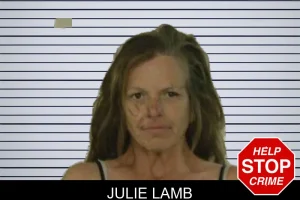 Julie Lamb mugshot