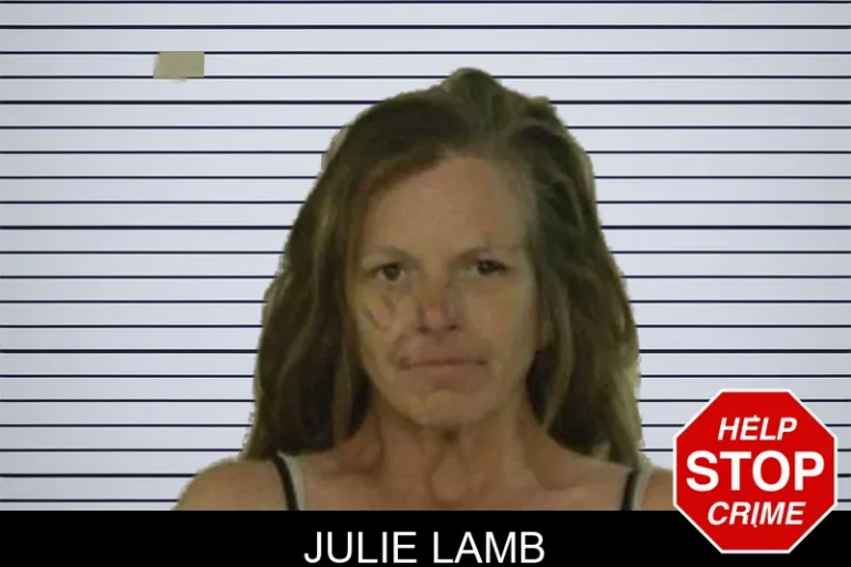 Julie Lamb mugshot – Liberty County , Georgia Julie Lamb