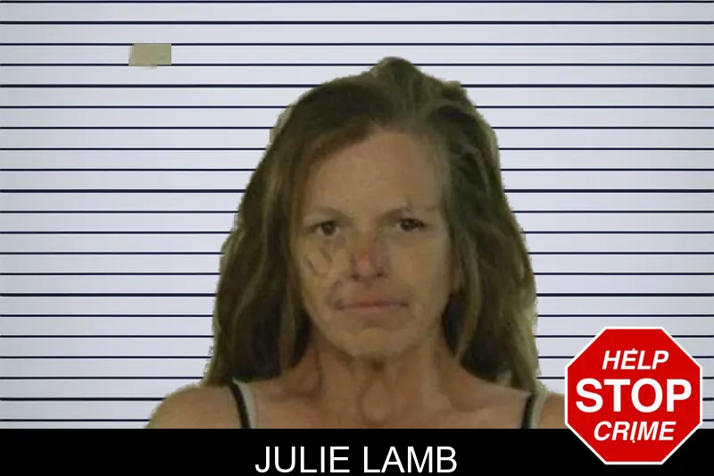 Julie Lamb mugshot