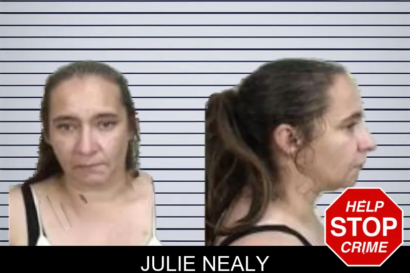 Julie Nealy mugshot
