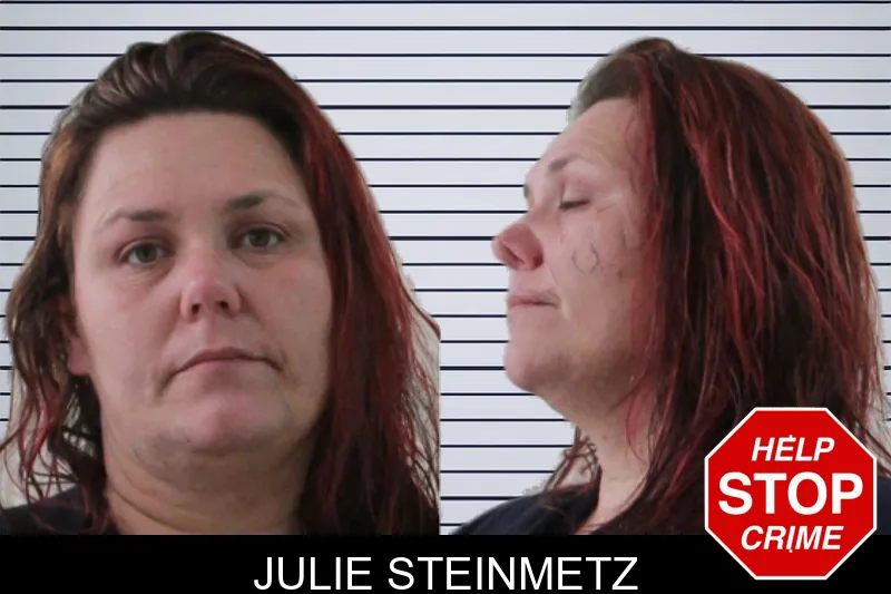 Julie Steinmetz mugshot