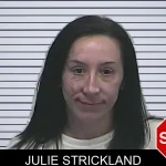 Julie Strickland mugshot