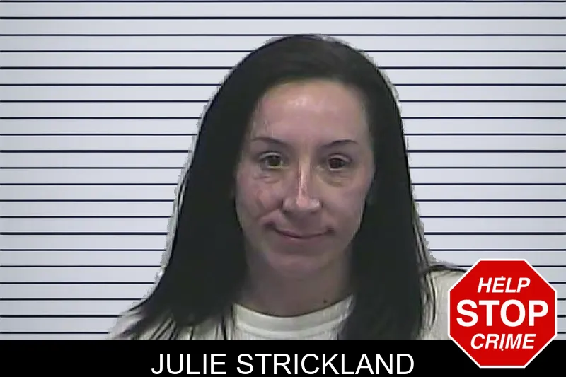 Julie Strickland mugshot – Dawson County , Georgia Julie Strickland mugshot