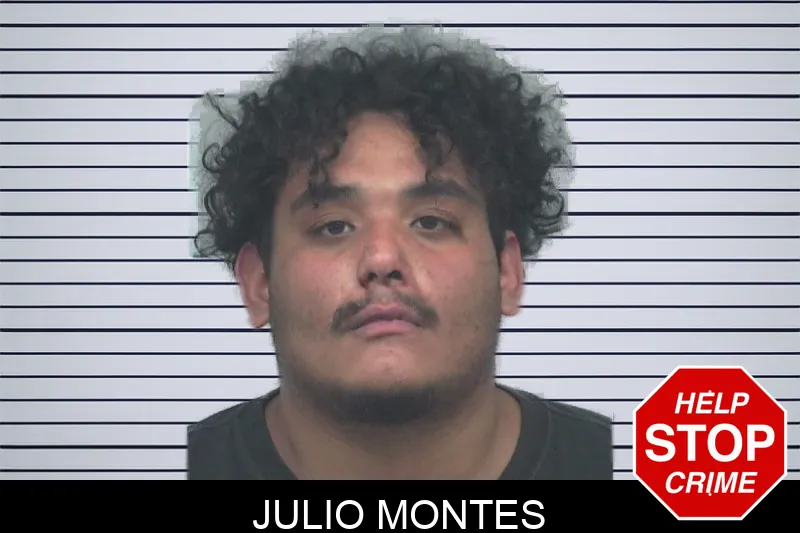 Julio Montes mugshot