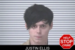 Justin Ellis mugshot