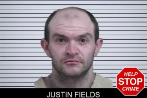 Justin Fields mugshot