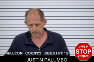 Justin Palumbo mugshot