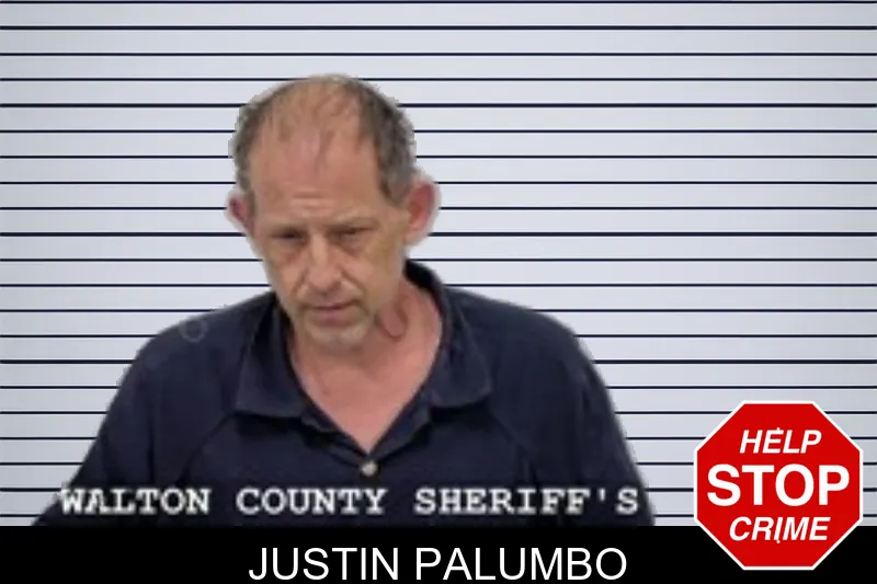 Justin Palumbo mugshot