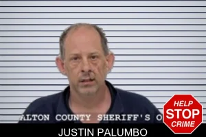 Justin Palumbo mugshot