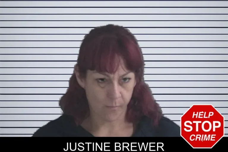 Justine Brewer mugshot – Brantley County , Georgia Justine Brewer