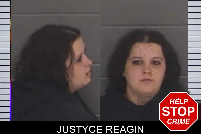Justyce Reagin mugshot – Barrow County , Georgia Justyce Reagin mugshot