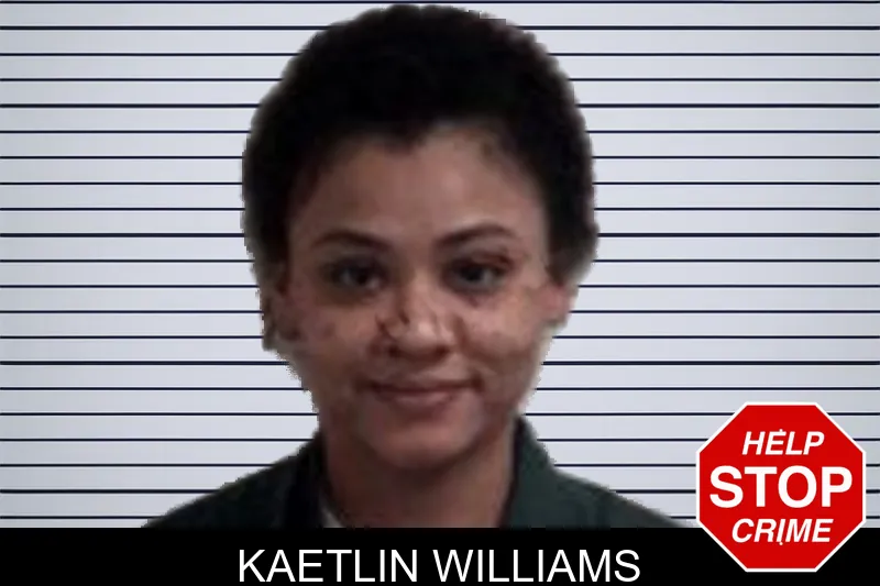 Kaetlin Williams mugshot