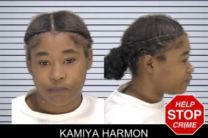 Kamiya Harmon mugshot