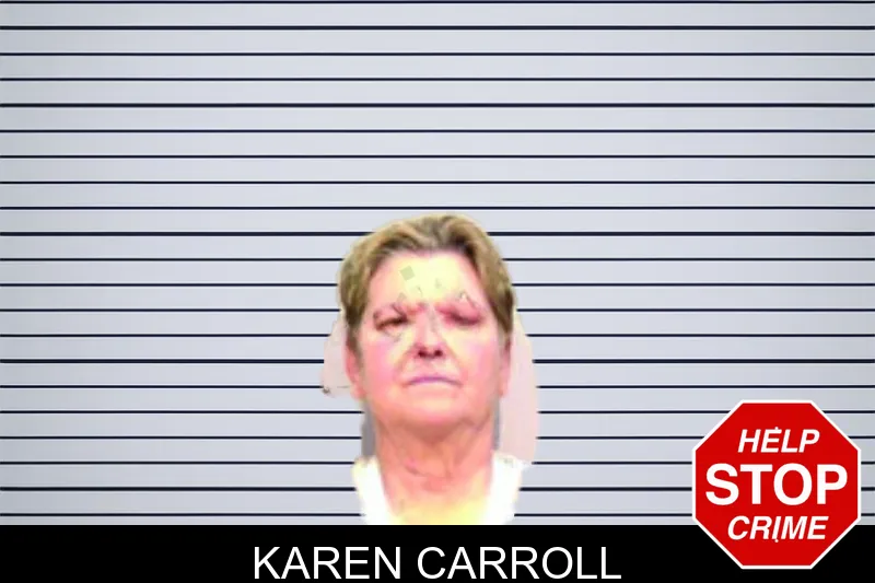 Karen Carroll mugshot