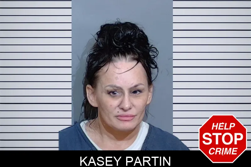 Kasey Partin mugshot – Glynn County , Georgia Kasey Partin mugshot