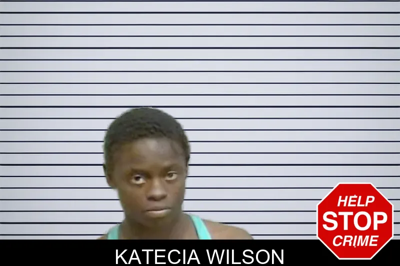 Katecia Wilson mugshot