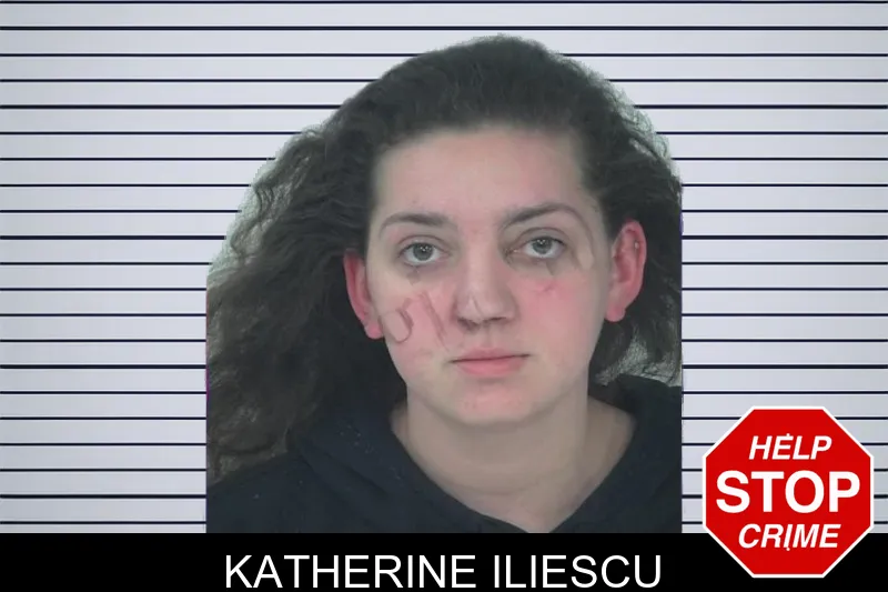 Katherine Iliescu mugshot
