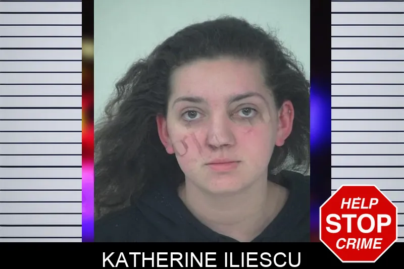 Katherine Iliescu mugshot