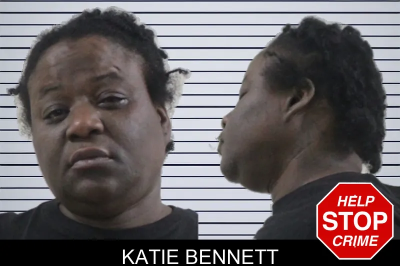 Katie Bennett mugshot – Houston County , Georgia Katie Bennett mugshot