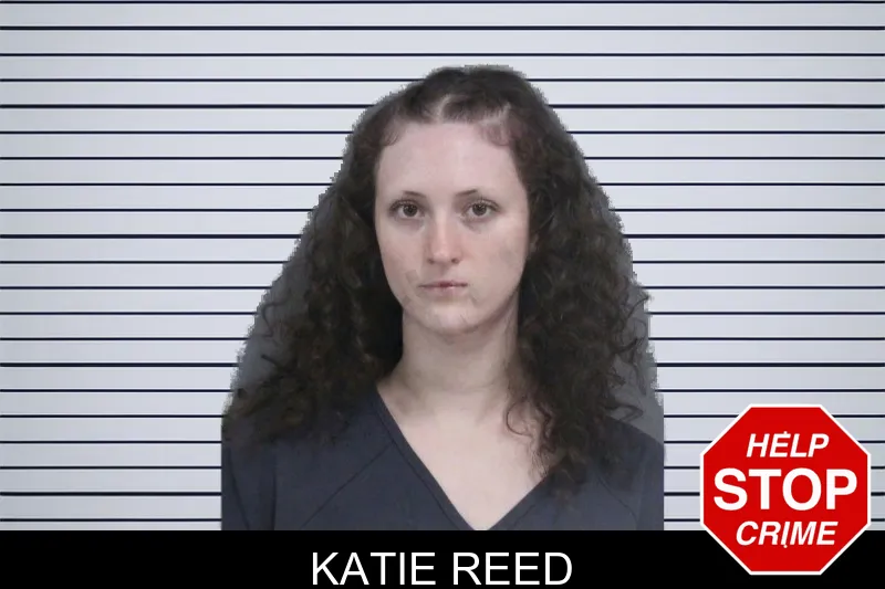 Katie Reed mugshot – Catoosa County , Georgia Katie Reed mugshot