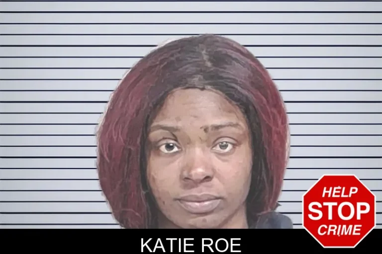 Katie Roe mugshot – Lowndes County , Georgia Katie Roe