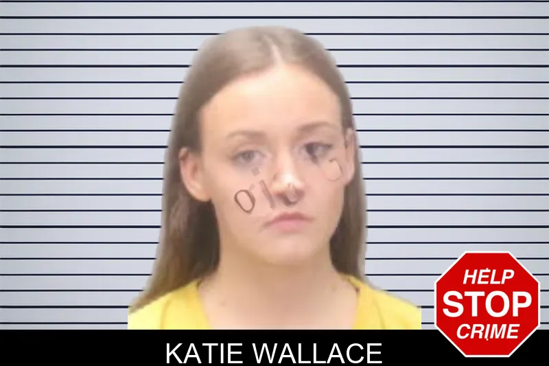 Katie Wallace mugshot