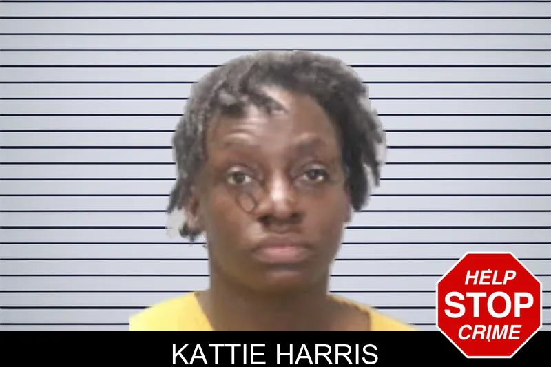 Kattie Harris mugshot
