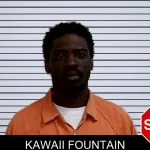 Kawaii Fountain mugshot