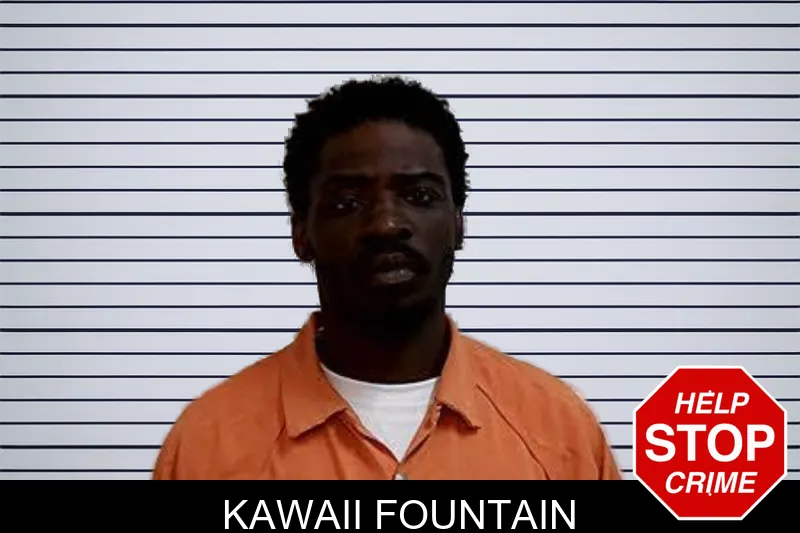 Kawaii Fountain mugshot