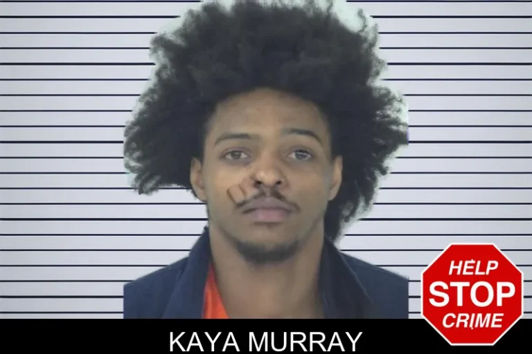 Kaya Murray mugshot – Fayette County , Georgia Kaya Murray
