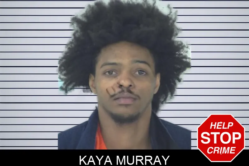 Kaya Murray mugshot – Fayette County , Georgia Kaya Murray mugshot