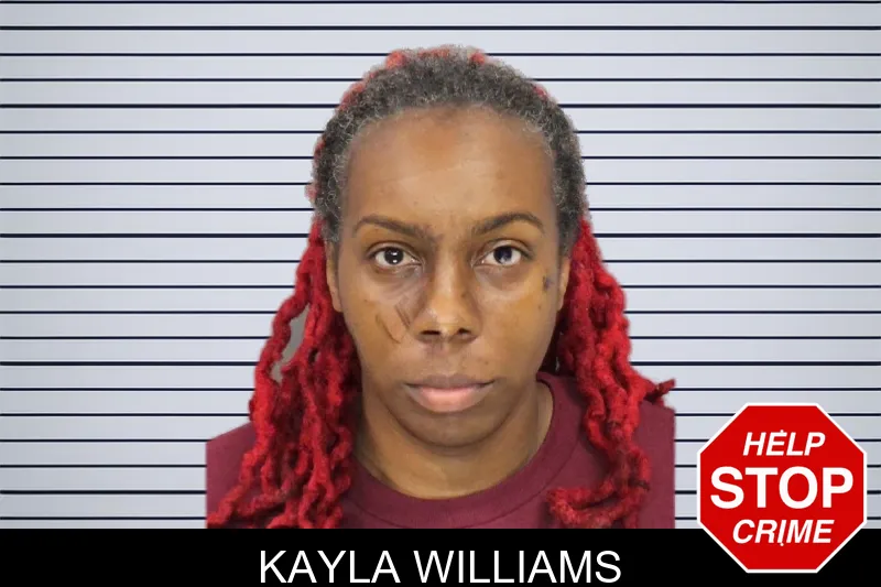 Kayla Williams mugshot