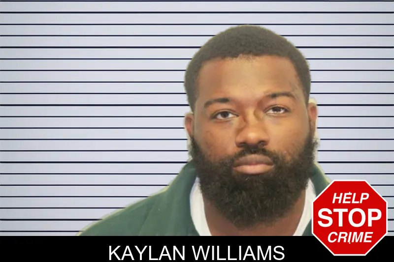Kaylan Williams mugshot – Chatham County , Georgia Kaylan Williams mugshot