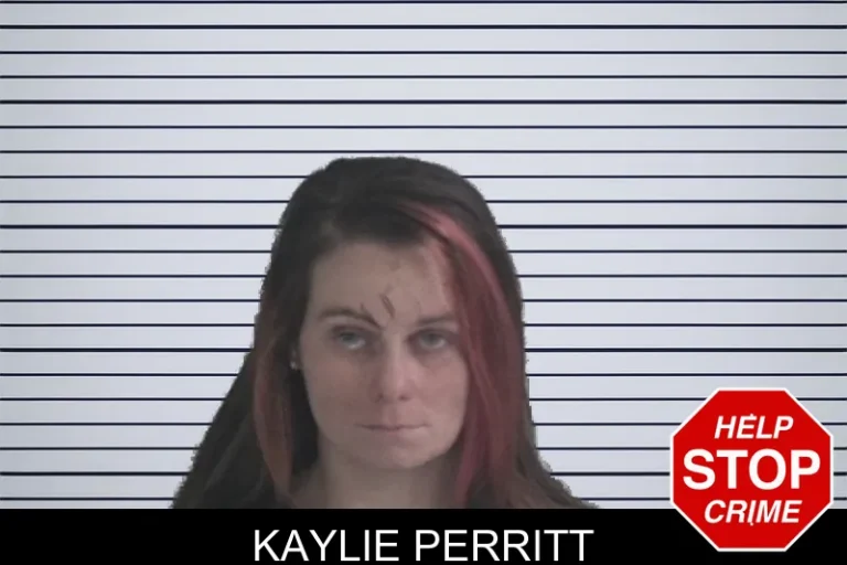 Kaylie Perritt mugshot – Brantley County , Georgia Kaylie Perritt