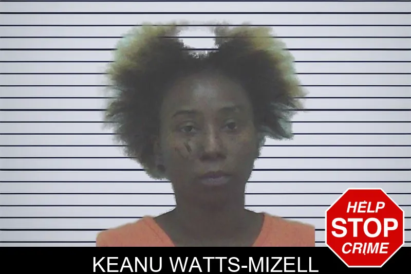 Keanu Watts-Mizell mugshot
