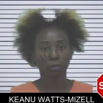 Keanu Watts-Mizell mugshot