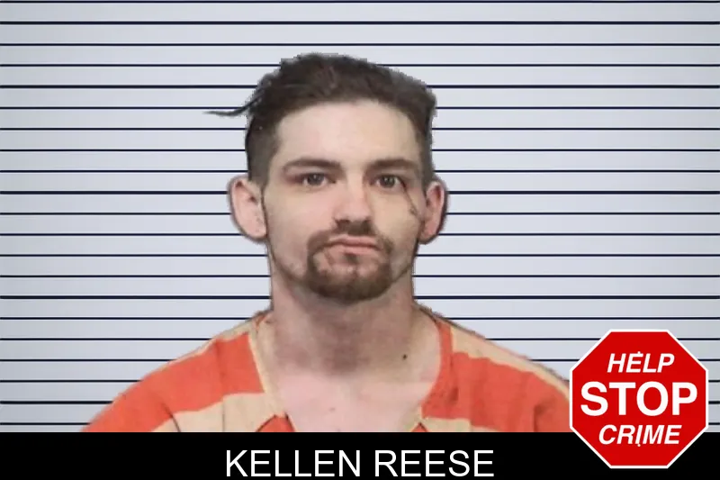 Kellen Reese mugshot