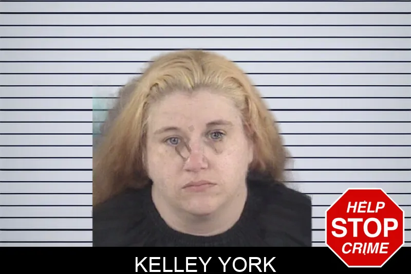 Kelley York mugshot – Spalding County , Georgia Kelley York mugshot