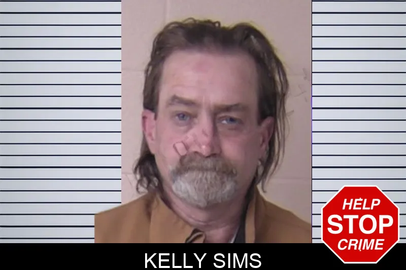 Kelly Sims mugshot