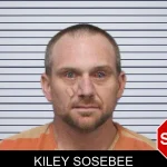 Kiley Sosebee mugshot – White County , Georgia Kiley Sosebee mugshot