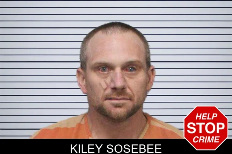 Kiley Sosebee mugshot – Decatur County , Georgia Kiley Sosebee
