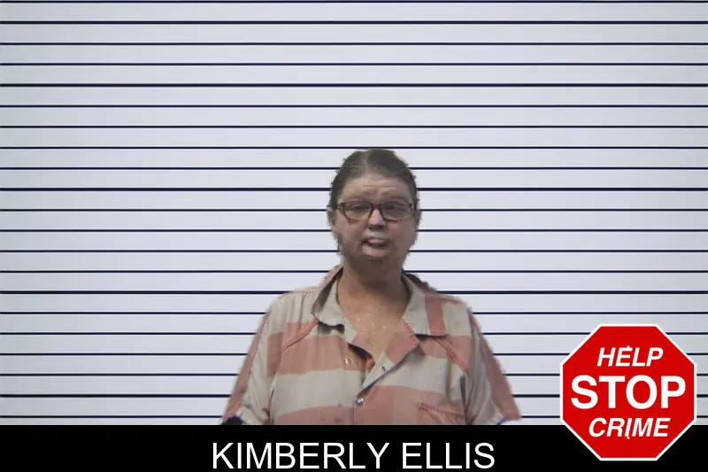 Kimberly Ellis mugshot