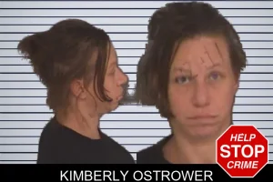 Kimberly Ostrower mugshot