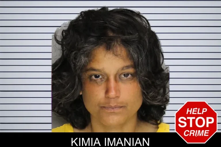 Kimia Imanian mugshot – Cobb County , Georgia Kimia Imanian