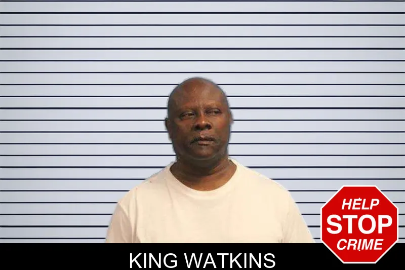 King Watkins mugshot