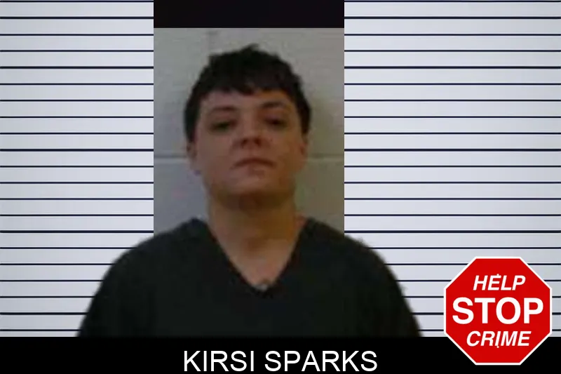 Kirsi Sparks mugshot – Polk County , Georgia Kirsi Sparks mugshot