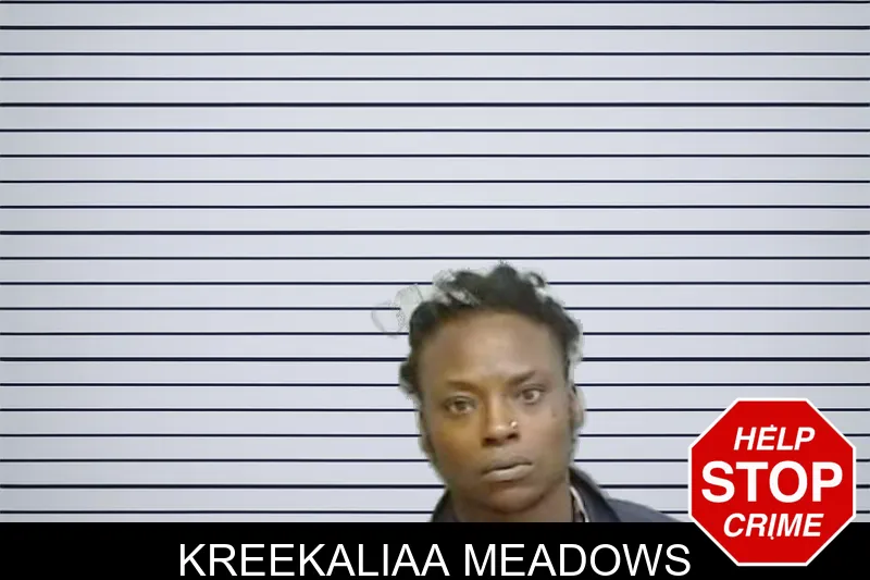 Kreekaliaa Meadows mugshot