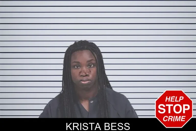 Krista Bess mugshot – Lowndes County , Georgia Krista Bess