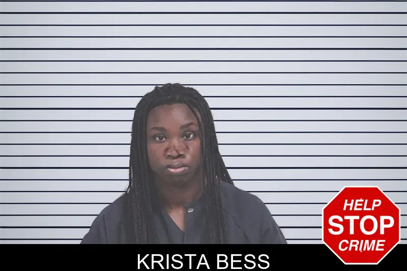 Krista Bess mugshot – Lowndes County , Georgia Krista Bess mugshot