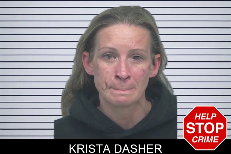 Krista Dasher mugshot – Gwinnett County , Georgia Krista Dasher mugshot